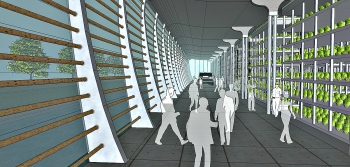 10 Hydroponic farm - Interior- Bio-Morfometrico 