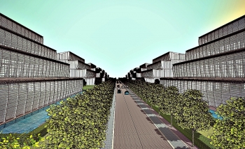 6 Hydroponic farm - Bio-Morfometrico 